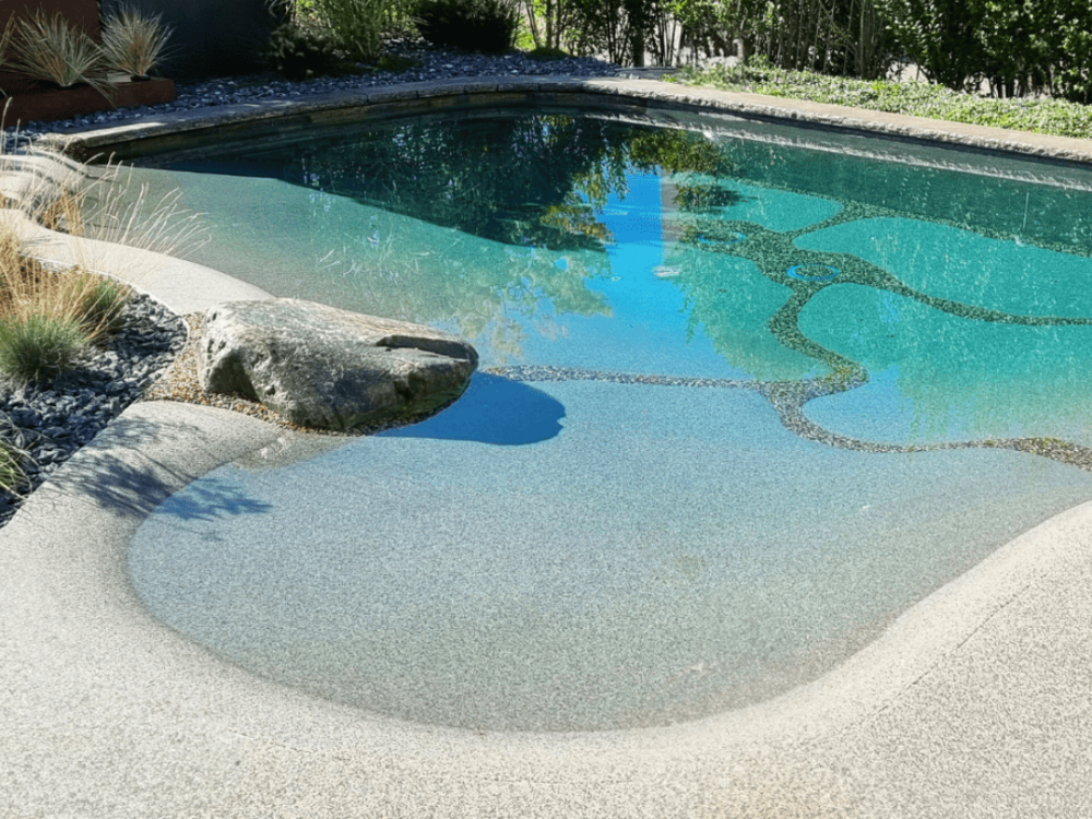 Bio design Pool mit Garten und senkrechter Wan